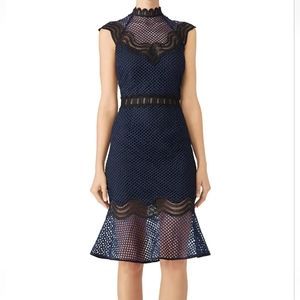 Saylor Navy Lace Flare Sheath Dress